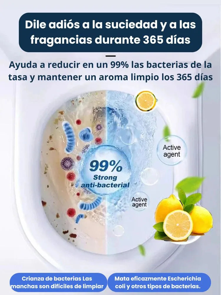 Encabezado