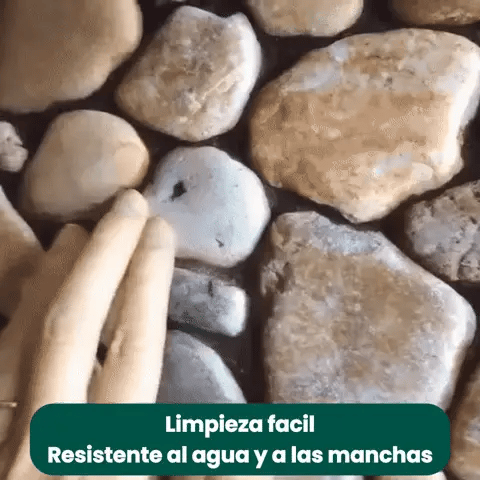 Encabezado