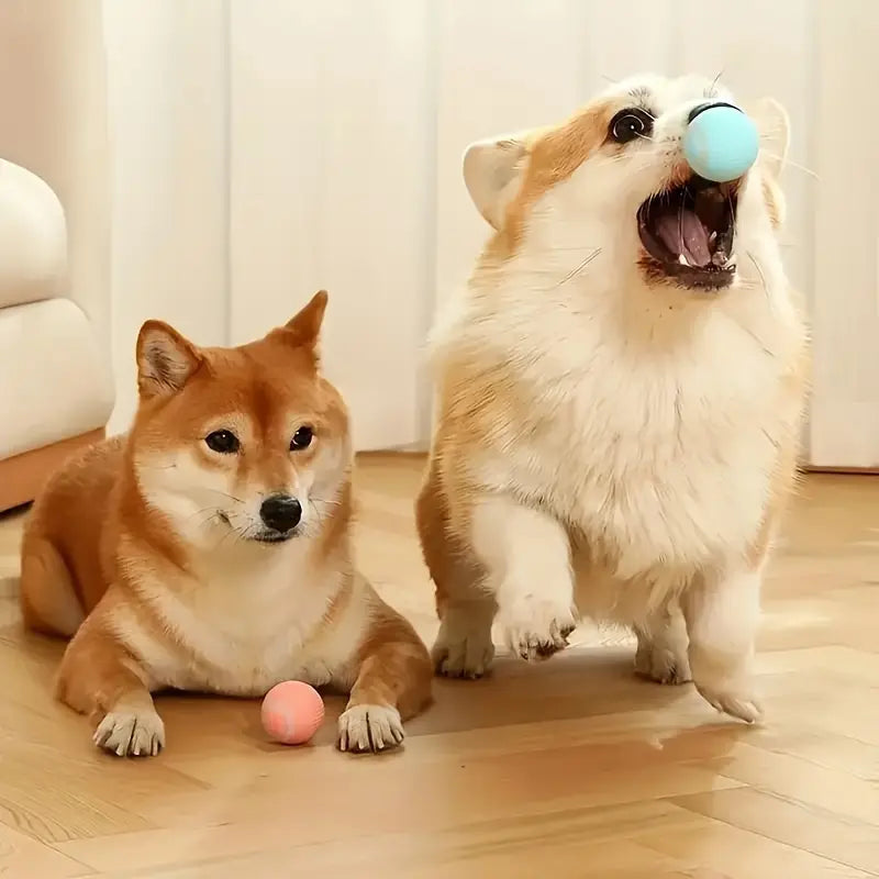 2x1 PowerBall: La Pelota Inteligente e Impredecible que Estimula y Divierte a tu Gato