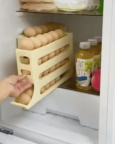 Encabezado